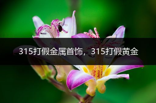 315打假金属首饰，315打假黄金