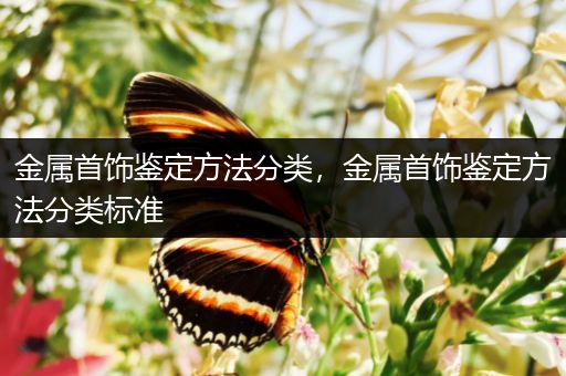 金属首饰鉴定方法分类，金属首饰鉴定方法分类标准