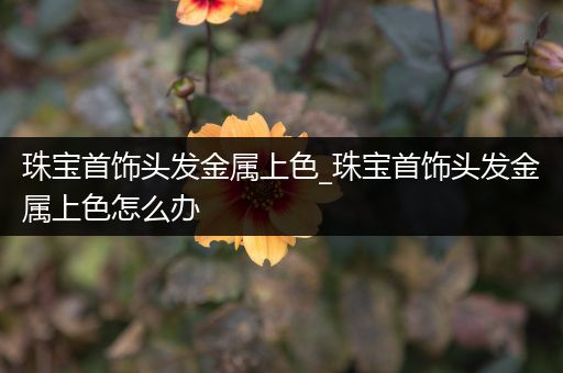 珠宝首饰头发金属上色_珠宝首饰头发金属上色怎么办