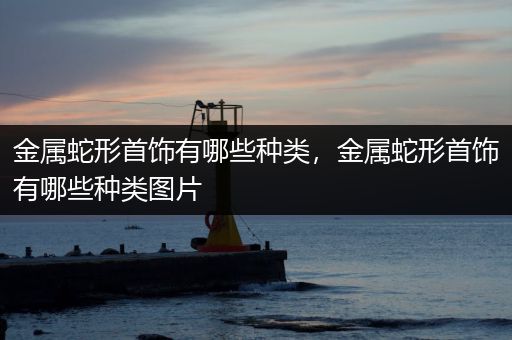 金属蛇形首饰有哪些种类，金属蛇形首饰有哪些种类图片