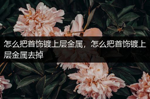 怎么把首饰镀上层金属，怎么把首饰镀上层金属去掉