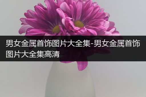 男女金属首饰图片大全集-男女金属首饰图片大全集高清