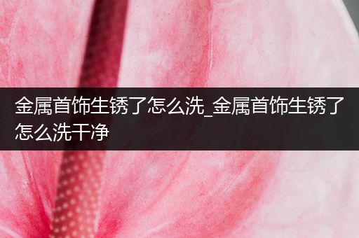 金属首饰生锈了怎么洗_金属首饰生锈了怎么洗干净