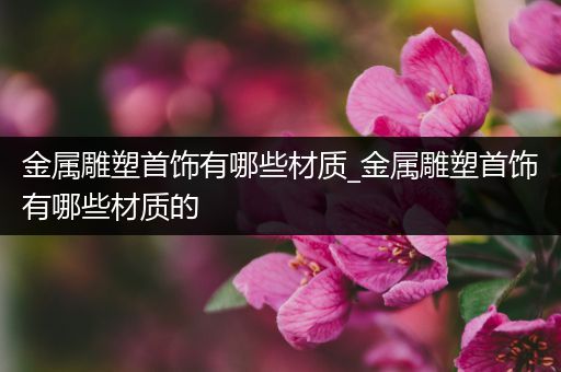 金属雕塑首饰有哪些材质_金属雕塑首饰有哪些材质的