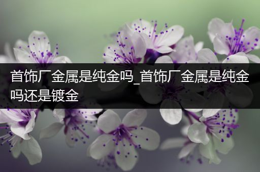 首饰厂金属是纯金吗_首饰厂金属是纯金吗还是镀金