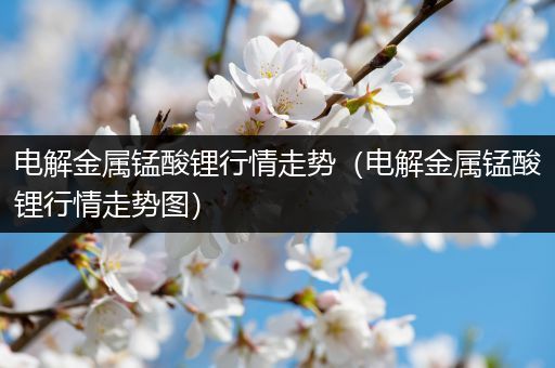 电解金属锰酸锂行情走势（电解金属锰酸锂行情走势图）