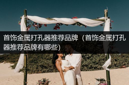 首饰金属打孔器推荐品牌（首饰金属打孔器推荐品牌有哪些）