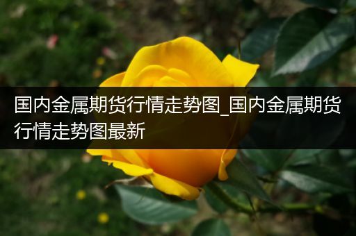 国内金属期货行情走势图_国内金属期货行情走势图最新
