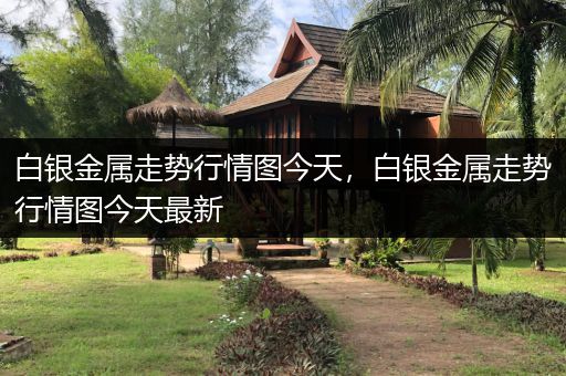 白银金属走势行情图今天，白银金属走势行情图今天最新