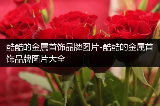 酷酷的金属首饰品牌图片-酷酷的金属首饰品牌图片大全