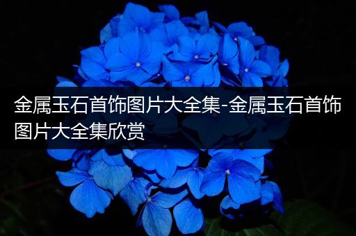 金属玉石首饰图片大全集-金属玉石首饰图片大全集欣赏