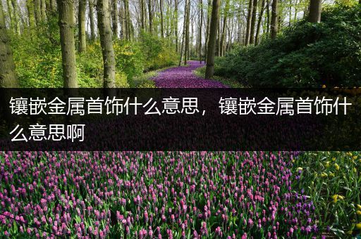 镶嵌金属首饰什么意思，镶嵌金属首饰什么意思啊