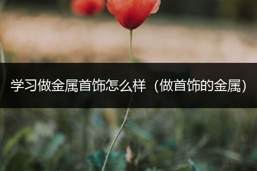 学习做金属首饰怎么样（做首饰的金属）