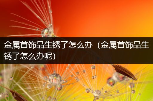 金属首饰品生锈了怎么办（金属首饰品生锈了怎么办呢）