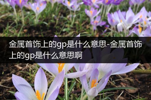 金属首饰上的gp是什么意思-金属首饰上的gp是什么意思啊