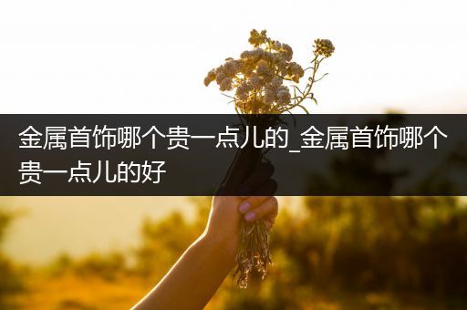 金属首饰哪个贵一点儿的_金属首饰哪个贵一点儿的好