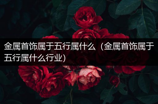 金属首饰属于五行属什么（金属首饰属于五行属什么行业）