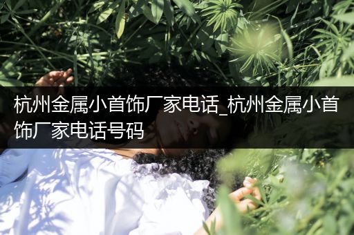 杭州金属小首饰厂家电话_杭州金属小首饰厂家电话号码