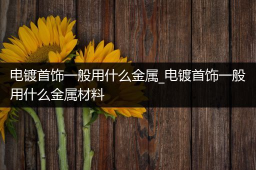 电镀首饰一般用什么金属_电镀首饰一般用什么金属材料