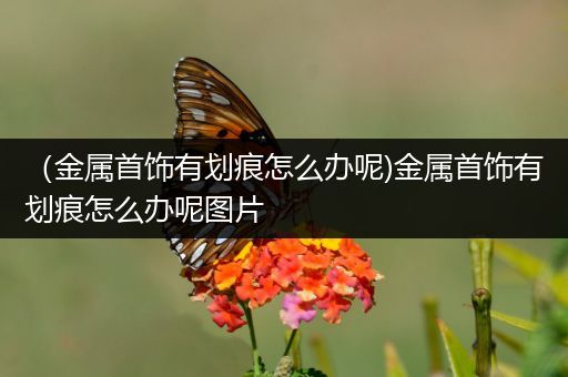 （金属首饰有划痕怎么办呢)金属首饰有划痕怎么办呢图片