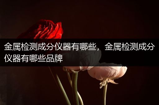 金属检测成分仪器有哪些，金属检测成分仪器有哪些品牌