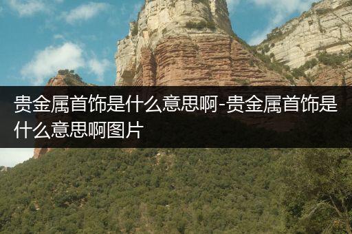 贵金属首饰是什么意思啊-贵金属首饰是什么意思啊图片