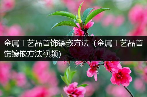 金属工艺品首饰镶嵌方法（金属工艺品首饰镶嵌方法视频）