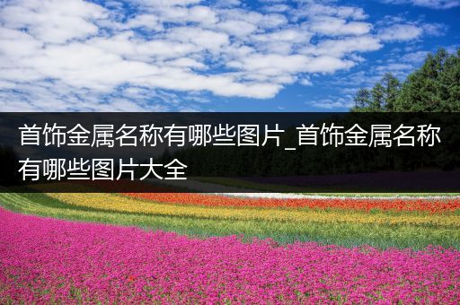 首饰金属名称有哪些图片_首饰金属名称有哪些图片大全
