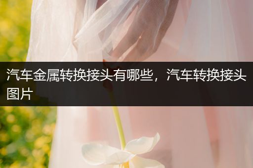 汽车金属转换接头有哪些，汽车转换接头图片