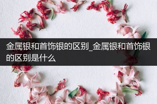 金属银和首饰银的区别_金属银和首饰银的区别是什么