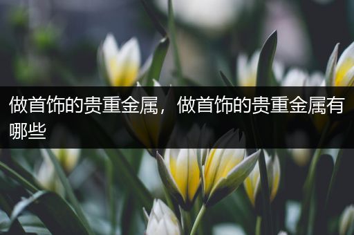 做首饰的贵重金属，做首饰的贵重金属有哪些