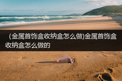 （金属首饰盒收纳盒怎么做)金属首饰盒收纳盒怎么做的