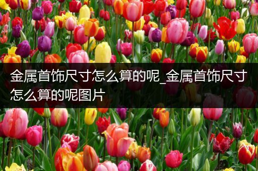 金属首饰尺寸怎么算的呢_金属首饰尺寸怎么算的呢图片