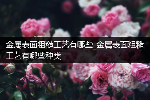 金属表面粗糙工艺有哪些_金属表面粗糙工艺有哪些种类