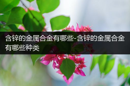 含锌的金属合金有哪些-含锌的金属合金有哪些种类