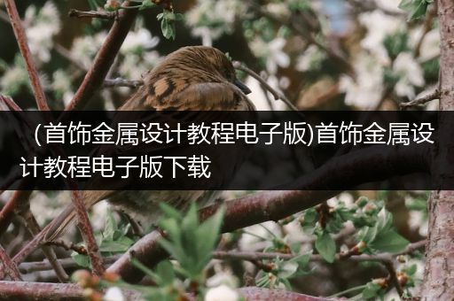 （首饰金属设计教程电子版)首饰金属设计教程电子版下载