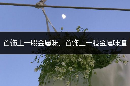 首饰上一股金属味，首饰上一股金属味道