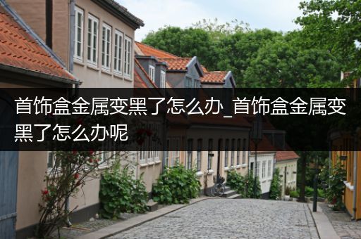 首饰盒金属变黑了怎么办_首饰盒金属变黑了怎么办呢