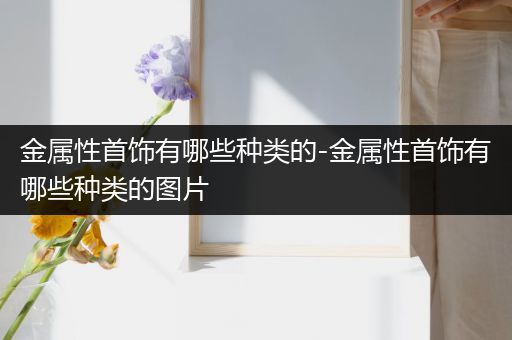 金属性首饰有哪些种类的-金属性首饰有哪些种类的图片