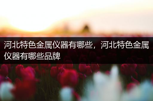 河北特色金属仪器有哪些，河北特色金属仪器有哪些品牌
