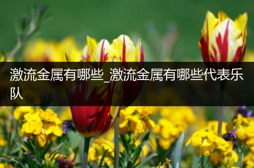 激流金属有哪些_激流金属有哪些代表乐队