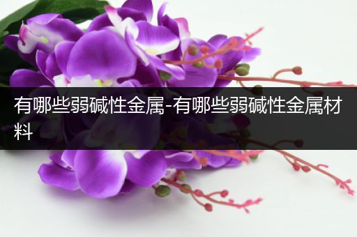 有哪些弱碱性金属-有哪些弱碱性金属材料
