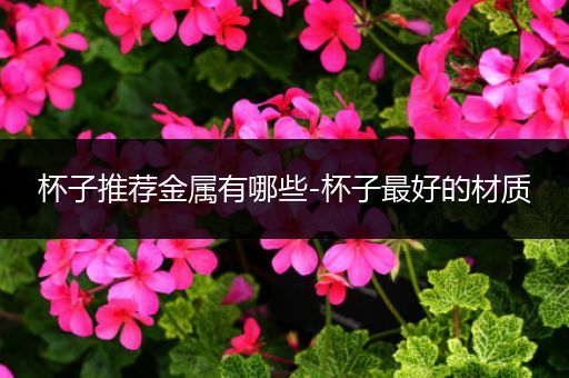 杯子推荐金属有哪些-杯子最好的材质