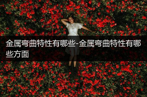 金属弯曲特性有哪些-金属弯曲特性有哪些方面