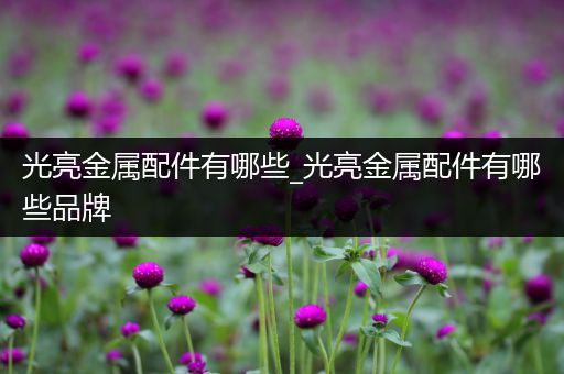 光亮金属配件有哪些_光亮金属配件有哪些品牌