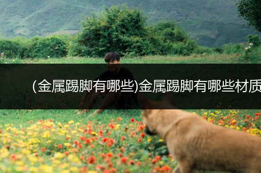 （金属踢脚有哪些)金属踢脚有哪些材质