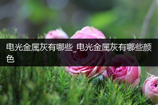 电光金属灰有哪些_电光金属灰有哪些颜色