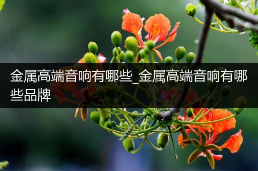 金属高端音响有哪些_金属高端音响有哪些品牌
