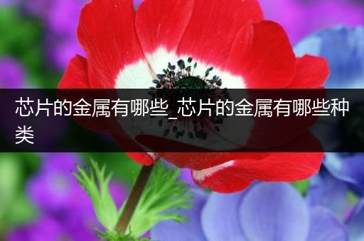 芯片的金属有哪些_芯片的金属有哪些种类
