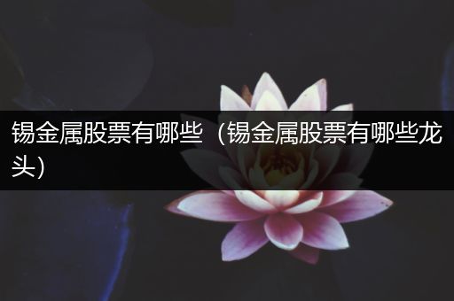 锡金属股票有哪些（锡金属股票有哪些龙头）